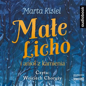 [Audiobook] CD MP3 Małe Licho i anioł z kamienia Polish Books Canada