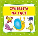 Zwierzęta na łące - 