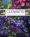 Clematis. Najpiękniejsze gatunki powojniaków  