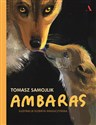 Ambaras - Tomasz Samojlik to buy in Canada