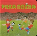 Piłka nożna  polish books in canada