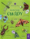 Młodzi przyrodnicy Rozpoznaję owady - Patrycja Zarawska