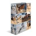 Segregator A4 - Konie buy polish books in Usa