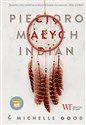 Pięcioro małych Indian - Polish Bookstore USA