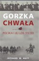 Gorzka chwała Polska i jej los 1918 - 1939 chicago polish bookstore