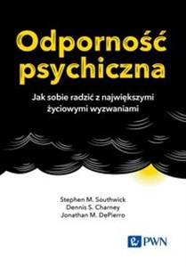 Odporność psychiczna Jak sobie radzić z największymi życiowymi wyzwaniami Polish bookstore