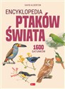 Encyklopedia ptaków świata buy polish books in Usa