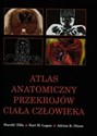 Atlas anatomiczny przekrojów ciała człowieka polish books in canada