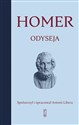 Odyseja  - Homer