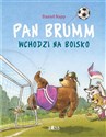 Pan Brumm wchodzi na boisko  - Daniel Napp