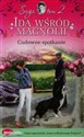 Ida wśród magnolii Cudowne spotkanie Tom 2 - Polish Bookstore USA