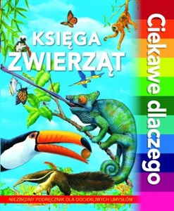 Księga zwierząt. Ciekawe dlaczego 