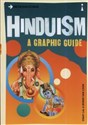 Introducing Hinduism A Graphic Guide polish books in canada