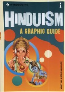 Introducing Hinduism A Graphic Guide polish books in canada