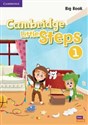 Cambridge Little Steps 1 Big Book - 