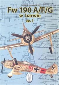 Fw 190 A/F/G w barwie część 1 chicago polish bookstore