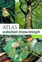 Atlas uszkodzeń drzew leśnych - Günter Hartmann, Franz Nienhaus, Heinz Butin  