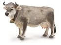 Tyrolska krowa szara  - 