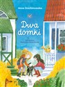 Dwa domki - Anna Onichimowska