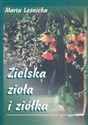 Zielska zioła i ziółka  