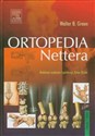 Ortopedia Nettera  