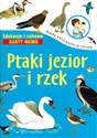 Ptaki jezior i rzek edukacja i zabawa karty memo buy polish books in Usa