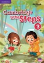 Cambridge Little Steps 3 Big Book - 