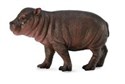 Hipopotam karłowaty młode S - 