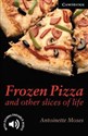 Frozen Pizza and Other Slices of Life Level 6 - Antoinette Moses - Polish Bookstore USA