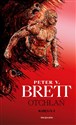 Otchłań Księga 1 Cykl demoniczny - Peter V. Brett
