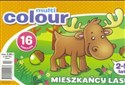 Multi colour 2 Mieszkańcy lasu  