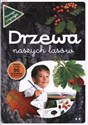 Drzewa naszych lasów część 2 Poznaję i rysuję 