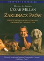 Zaklinacz psów Proste metody rozwiązywania problemów Twojego psa  