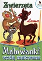 Zwierzęta Lama Malowanki wodą malowane polish usa