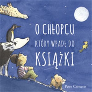 O chłopcu, który wpadł do książki books in polish