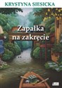 Zapałka na zakręcie Bookshop