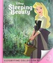 Disney Princess Sleeping Beauty   
