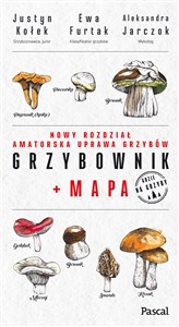 Grzybownik+mapa Bookshop