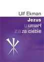 Jezus umarł za Ciebie buy polish books in Usa