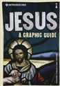 Introducing Jesus A Graphic Guide Polish bookstore