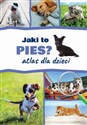 Jaki to pies? Atlas dla dzieci polish books in canada