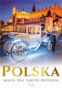 Polska miasta wsie zabytki geografia online polish bookstore