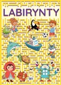 Labirynty  - Opracowanie Zbiorowe chicago polish bookstore