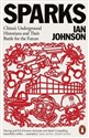 Sparks China's Underground Historians and Their Battle for the Future bookstore