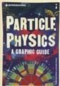 Introducing Particle Physics A Graphic Guide Bookshop