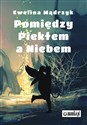 Pomiędzy Piekłem a Niebem polish usa