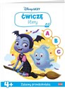 Disney Uczy Ćwiczę  litery 4+ UDP-9301 Bookshop