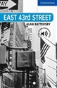 East 43rd Street Level 5 - Alan Battersby