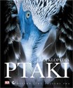 Ptaki Encyklopedia buy polish books in Usa