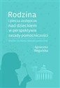 Rodzina i piecza zastępcza nad dzieckiem w perspektywie zasady pomocniczości Analiza dyskursu retoryki politycznej buy polish books in Usa